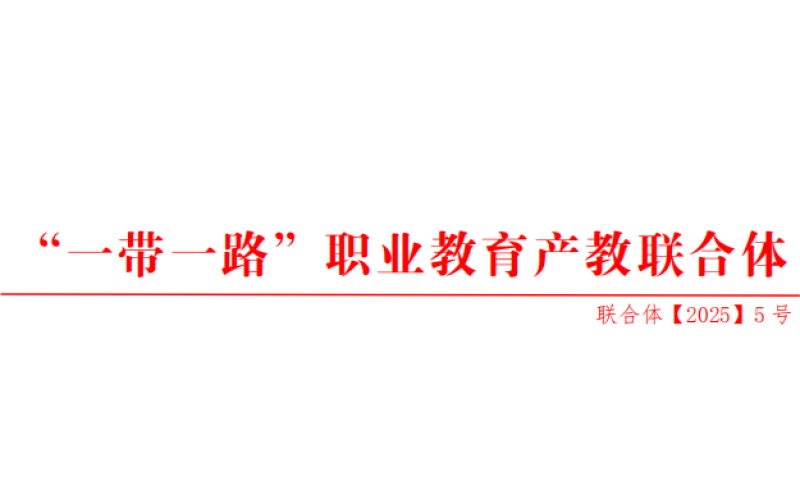 關(guān)于開(kāi)展第二批“一帶一路”職業(yè)教育“雙百計劃”項目申報工作的通知